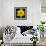 This Yellow Daffodil-Steve Gadomski-Framed Photographic Print displayed on a wall