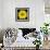 This Yellow Daisy-Steve Gadomski-Framed Photographic Print displayed on a wall