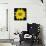 This Yellow Daisy-Steve Gadomski-Mounted Photographic Print displayed on a wall