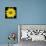 This Yellow Daisy-Steve Gadomski-Photographic Print displayed on a wall