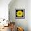 This Yellow Daisy-Steve Gadomski-Framed Photographic Print displayed on a wall