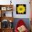 This Yellow Daisy-Steve Gadomski-Photographic Print displayed on a wall