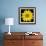 This Yellow Daisy-Steve Gadomski-Framed Photographic Print displayed on a wall