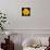 This Yellow Rose-Steve Gadomski-Mounted Photographic Print displayed on a wall