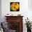 This Yellow Tulip-Steve Gadomski-Photographic Print displayed on a wall