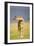 This Young One-Susann Parker-Framed Premium Photographic Print