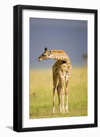 This Young One-Susann Parker-Framed Premium Photographic Print