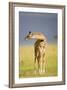 This Young One-Susann Parker-Framed Photographic Print