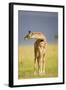 This Young One-Susann Parker-Framed Photographic Print