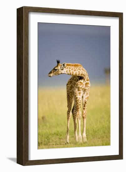 This Young One-Susann Parker-Framed Photographic Print