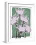 Thistle Pastel-Ania Zwara-Framed Photographic Print