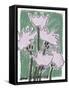 Thistle Pastel-Ania Zwara-Framed Stretched Canvas