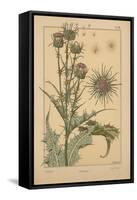 Thistle-null-Framed Stretched Canvas