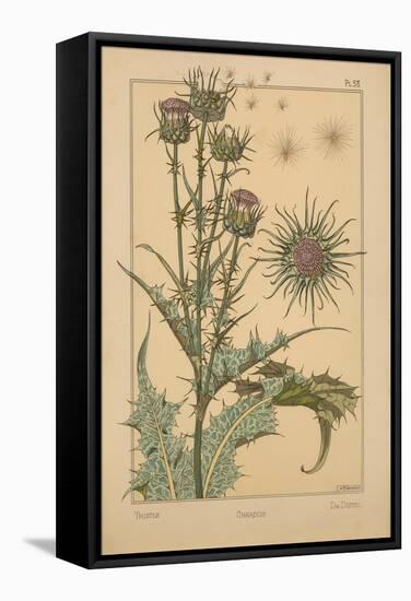 Thistle-null-Framed Stretched Canvas