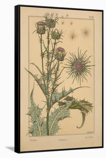 Thistle-null-Framed Stretched Canvas