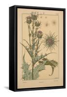 Thistle-null-Framed Stretched Canvas