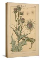 Thistle-null-Stretched Canvas