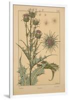 Thistle-null-Framed Giclee Print