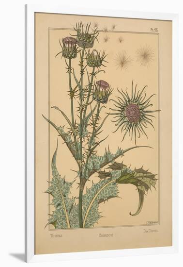 Thistle-null-Framed Giclee Print