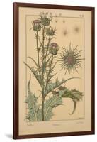 Thistle-null-Framed Giclee Print