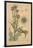 Thistle-null-Framed Giclee Print