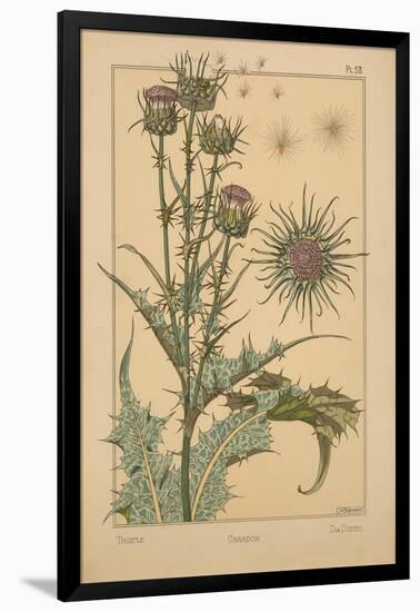 Thistle-null-Framed Giclee Print