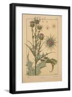 Thistle-null-Framed Giclee Print