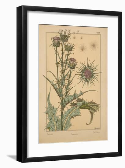 Thistle-null-Framed Giclee Print