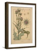 Thistle-null-Framed Giclee Print