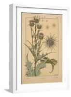 Thistle-null-Framed Giclee Print