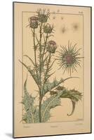 Thistle-null-Mounted Giclee Print