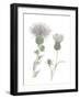 Thistle-Stacy Hsu-Framed Art Print