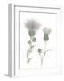 Thistle-Stacy Hsu-Framed Art Print