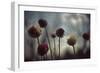 Thistledown in Subtle Light-George Oze-Framed Photographic Print