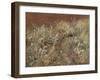 Thistles, 1885-89-John Singer Sargent-Framed Giclee Print