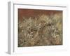 Thistles, 1885-89-John Singer Sargent-Framed Giclee Print