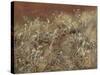 Thistles, 1885-89-John Singer Sargent-Stretched Canvas