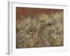 Thistles, 1885-89-John Singer Sargent-Framed Giclee Print