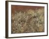 Thistles, 1885-89-John Singer Sargent-Framed Giclee Print