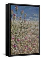 Thistles 1-Lincoln Seligman-Framed Stretched Canvas