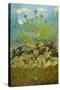 Thistles and Foxglove; Chardons Et Digitales, 1899-Paul Ranson-Stretched Canvas