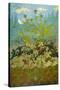 Thistles and Foxglove; Chardons Et Digitales, 1899-Paul Ranson-Stretched Canvas