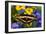 Thoas Swallowtail Resting on Irises and Daisies-Darrell Gulin-Framed Photographic Print