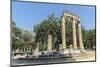 Tholos, Ancient Greek ruins, Olympia, Greece-Lisa S. Engelbrecht-Mounted Photographic Print