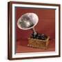 Brown Frame