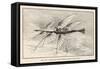 Thomas Alva Edison's Flying Ship the Larger of His Two Projected Flying Machines-null-Framed Stretched Canvas