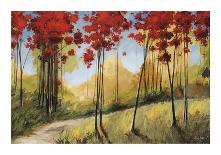 Forest Trail-Thomas Andrew-Mounted Giclee Print