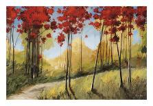 Forest Trail-Thomas Andrew-Mounted Giclee Print