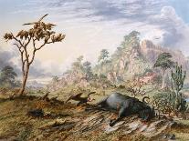Lions and Dead Quagga-Thomas Baines-Art Print