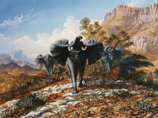 Art Print, , large